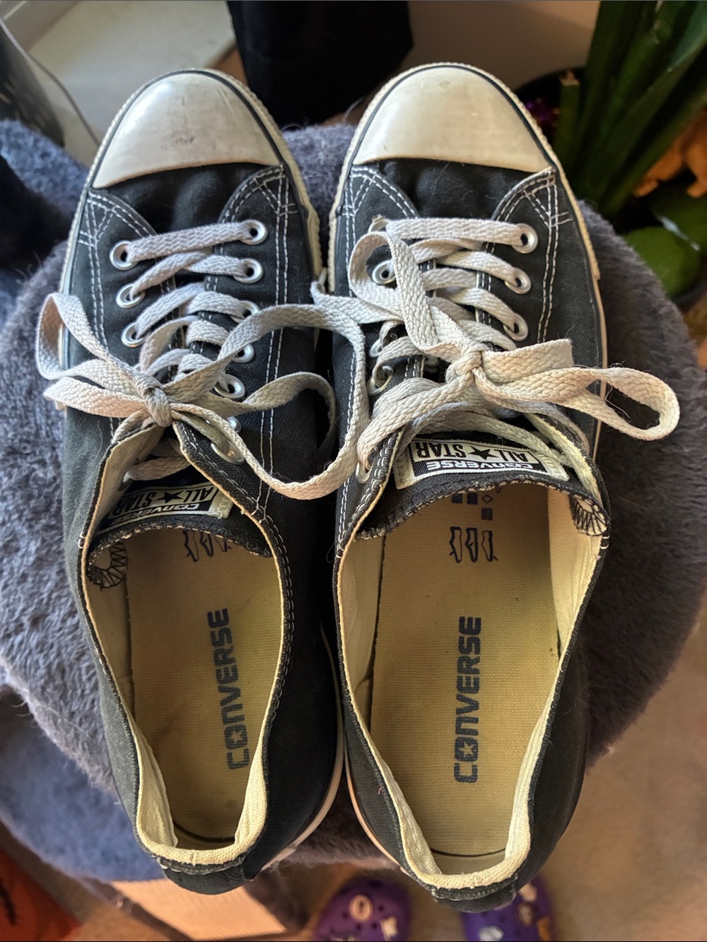 Converse Low Top Sneakers - Black and White